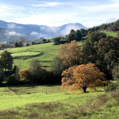 photo_2021-04-08_22-10-16